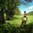 aR0HUL_9OPo-channel-avatar-Adventures of Flo