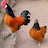 صورة @IlyasEl-Aissaouy
