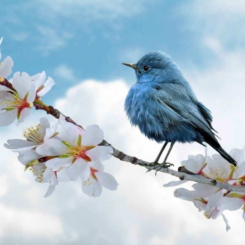 Creation of beauty 
