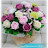 @Violet-x6b