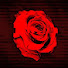 fdpyl9b1p4g-channel-avatar-LUSHA