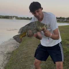 Slowy