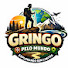 SEeBSBn4Vm8-channel-avatar-Gringo pelo Mundo - Ronei