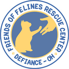 FOFRescueCenter net worth