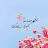 صدقه جاريه(أثر جميل)