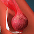 Channel Image