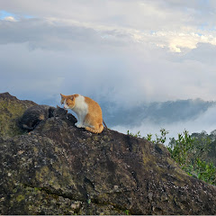 大漢アイコン画像