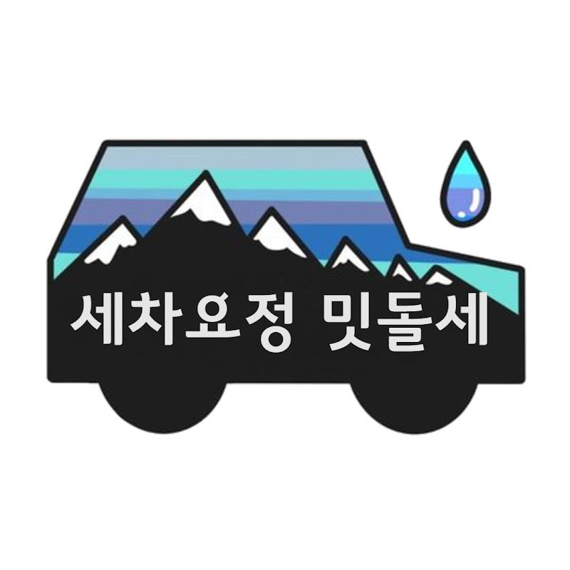 세차요정 밋돌세 Detail Wizard Logo