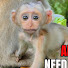 X2PZ3B0a5MI-channel-avatar-Cute Monkey