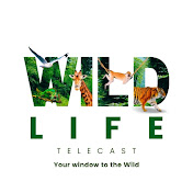 Wildlife Telecast Tamil 