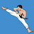 @TaekwondoMan2.0