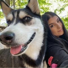 Maya Husky Vlogs Avatar