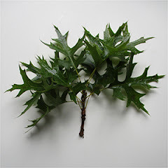 Radio Long Island City