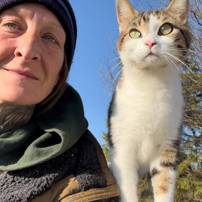 Katie-Kate's Homestead