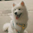 8sJHey3VGWA-channel-avatar-_dolphinthings