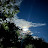 @Catillon-g7n