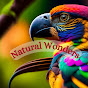 Natural Wonders logo
