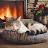 Cozy Relaxation