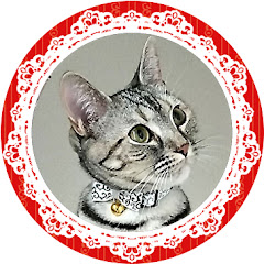 アメショのララ(Amesho Lala)