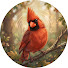 p3sBFW6LmkQ-channel-avatar-Backyard Bird Code