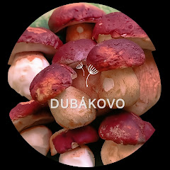Dubákovo