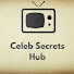 ZPnEfIvjsP0-channel-avatar-Celeb Secret Hub