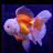 Goldfish With Ghost Aquariums