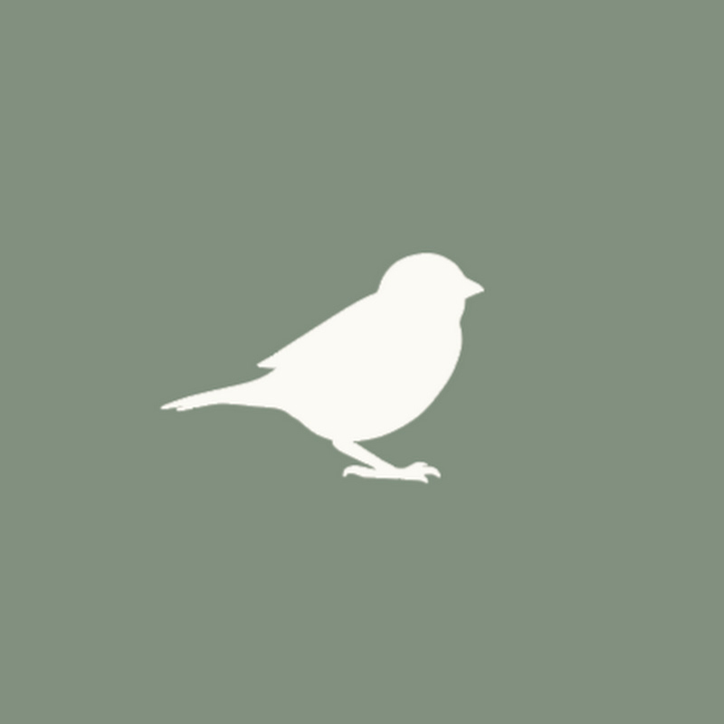 Sourdough Sparrow