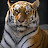 @Dilan-the-tiger