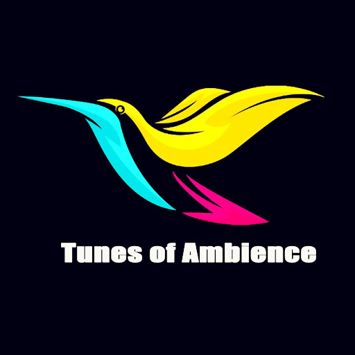 Tunes of Ambience