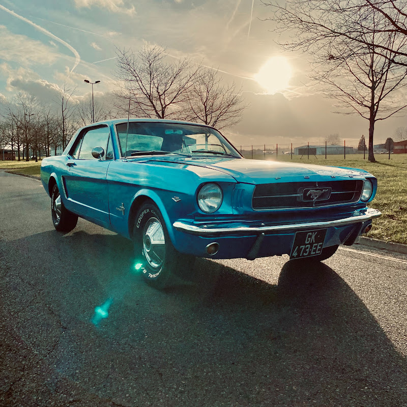 Mustang65_MamieBlue