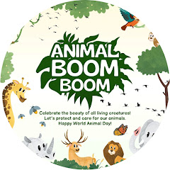 Animal Boom Boom avatar