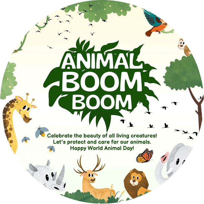 Animal Boom Boom