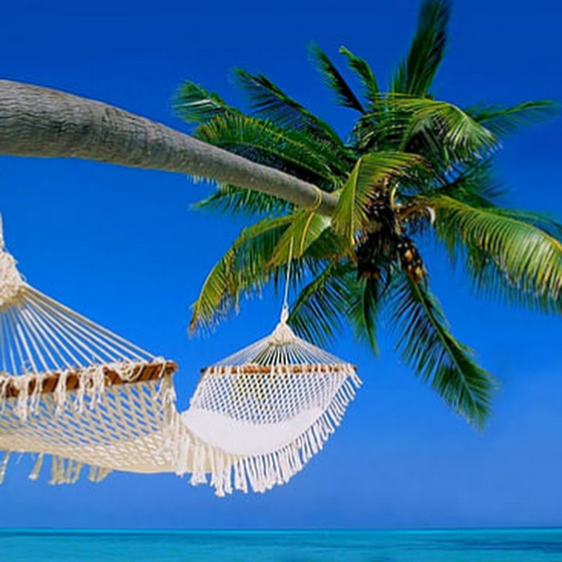 the hammock adventures