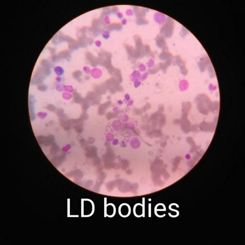 Pathologia