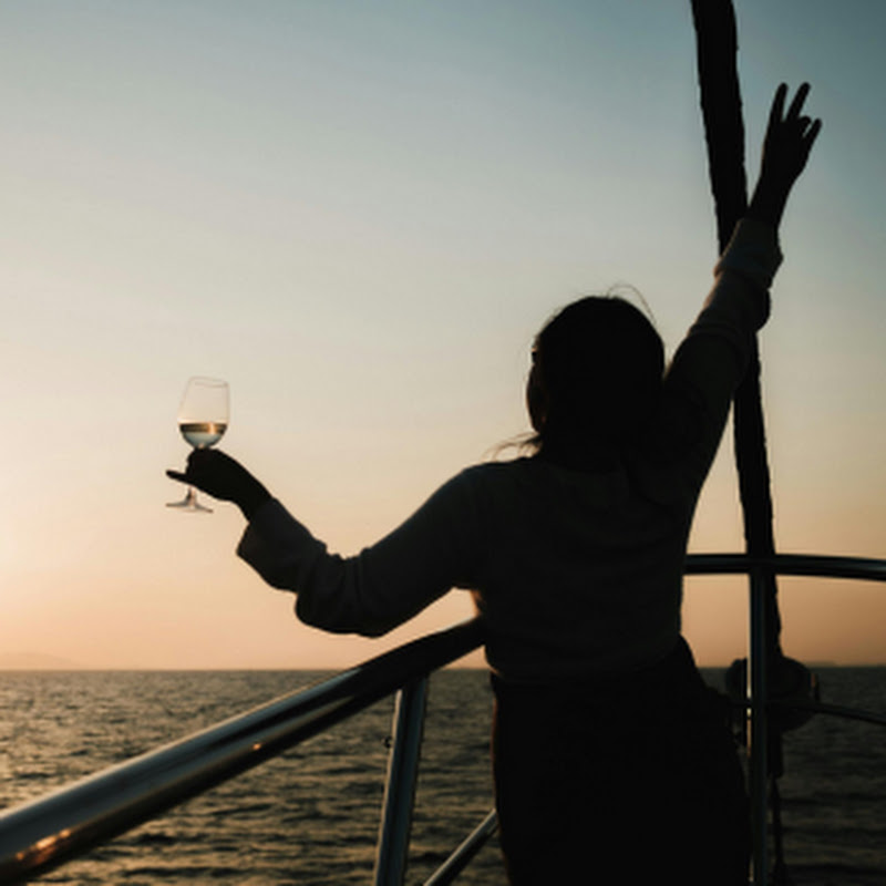 The Cruise Expert