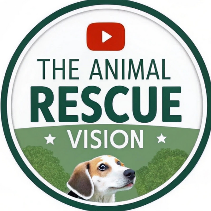 The Animal Rescue Vision profile avatar