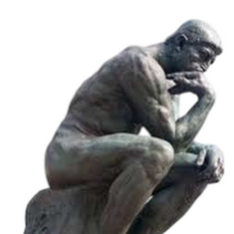 What Can We Learn From This?