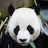 @woi-ryang-riprince1946
