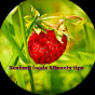 Healthy food and Beauty tips logo