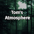 6uwOtkmniGo-channel-avatar-Tom's Atmosphere Channel