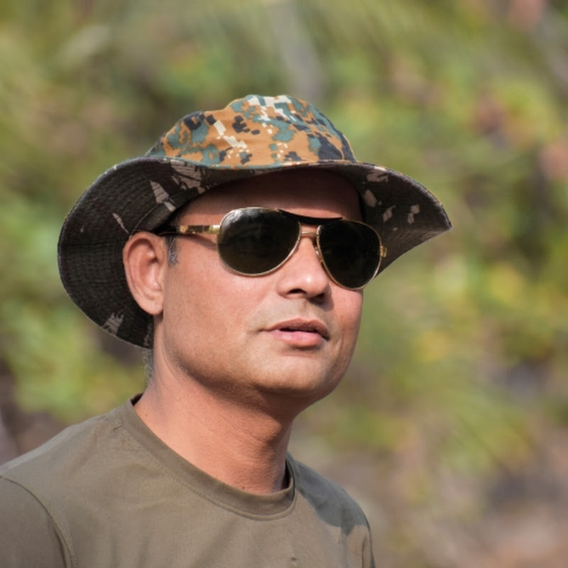 Protect wildlife and birds