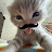 @Tinjkmsd