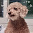@최지원-o5j