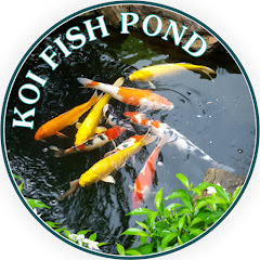 Koi Fish Pond channel logo