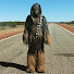 Jo-YNJQqMnY-channel-avatar-Newland Films