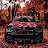 @advayharish6319 Avatar
