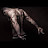 @armoniqfields8016 Avatar