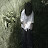 Avatar de @IstayLockedInAllTheTime