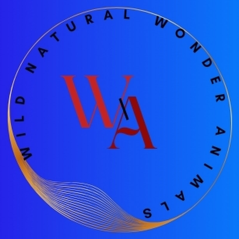 Wilde Natural Wonders animals